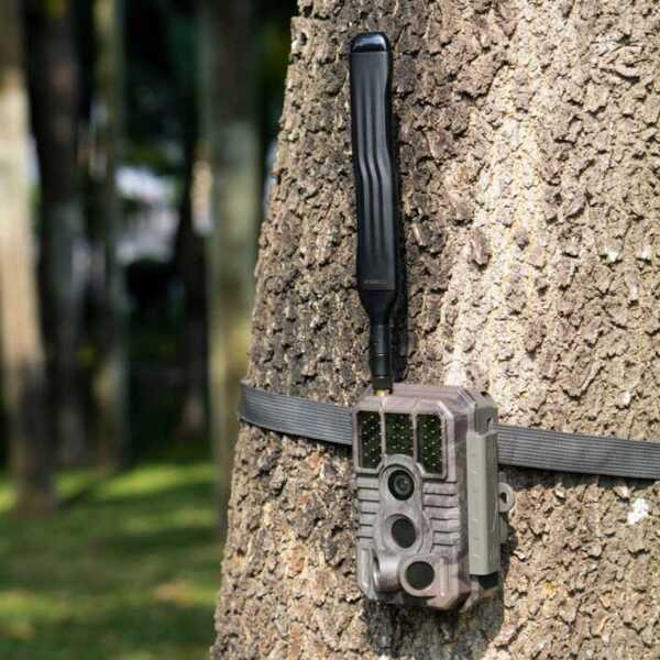 Black s990 App vildtkamera - billeder og video til din telefon